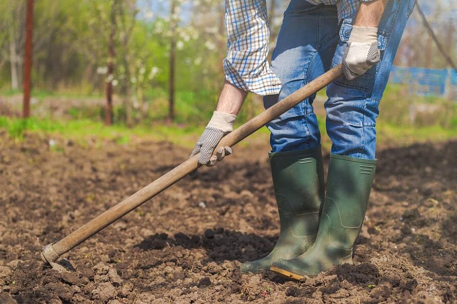 Les houes font un excellent travail pour éloigner les mauvaises herbes sans avoir à se baisser