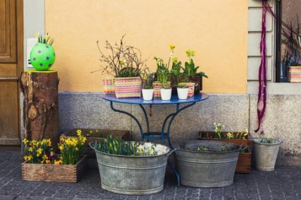 Soulevez votre plante en pot du sol dès que le sol dégèle