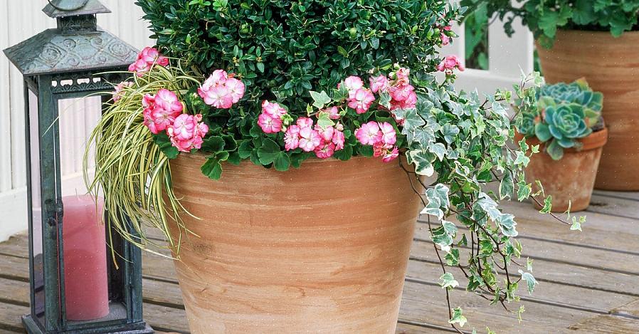 Les pieds de pot soulèvent vos contenants de plantes de votre terrasse ou patio