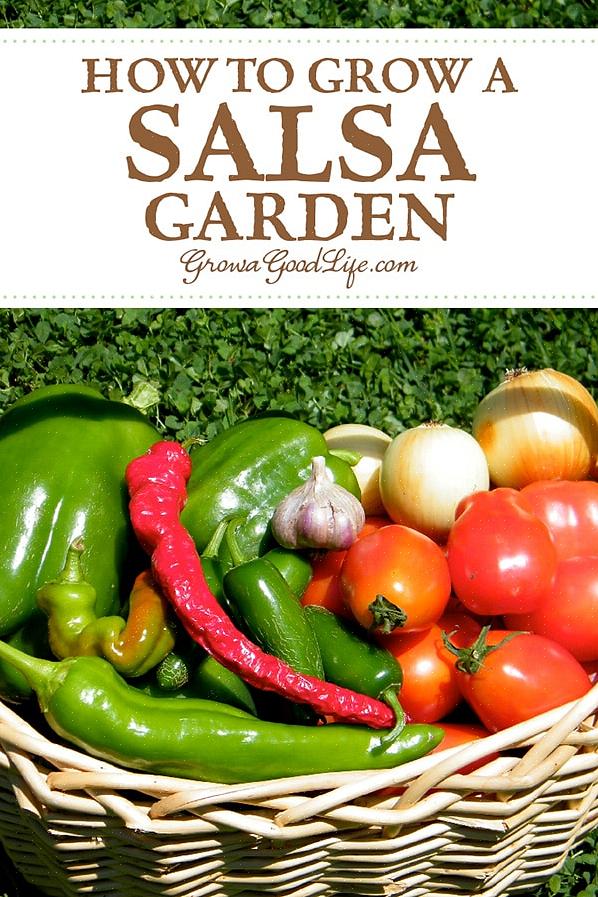 Vous pouvez toujours déguster une sauce maison en cultivant des poivrons doux dans votre jardin de salsa