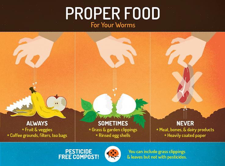 Il est bon de savoir quels types d'aliments pour vers vos vers vont aimer