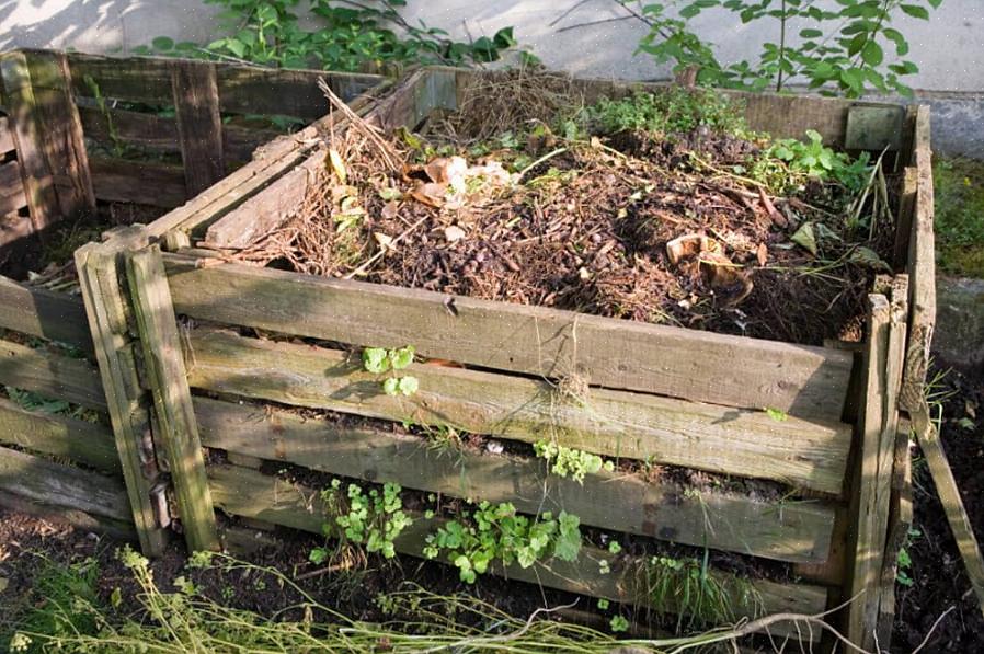 Encouragent le jardinier à cultiver des cultures spécifiquement pour le tas de compost