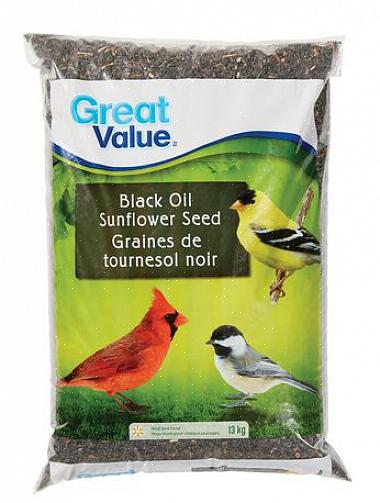 La graine de tournesol à huile noire est le type de graine pour oiseaux le plus connu