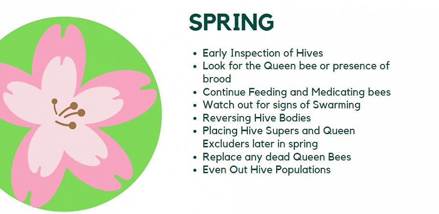 Vérifiez-les les jours plus chauds en ouvrant rapidement le dessus de la ruche pour vous assurer
