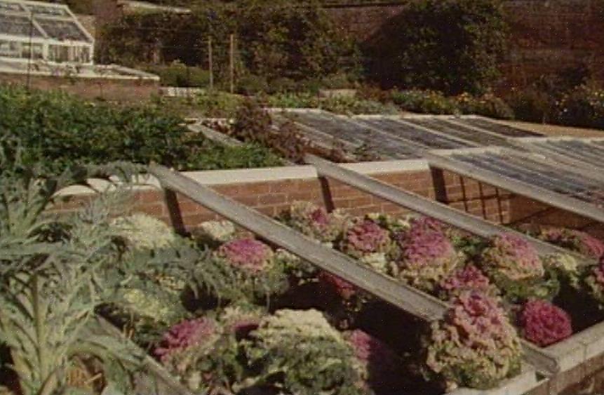 Permettant au jardinier de démarrer la saison de croissance bien avant le dernier gel