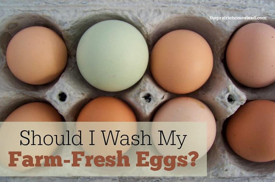 Il existe deux méthodes de base pour nettoyer les œufs de poule