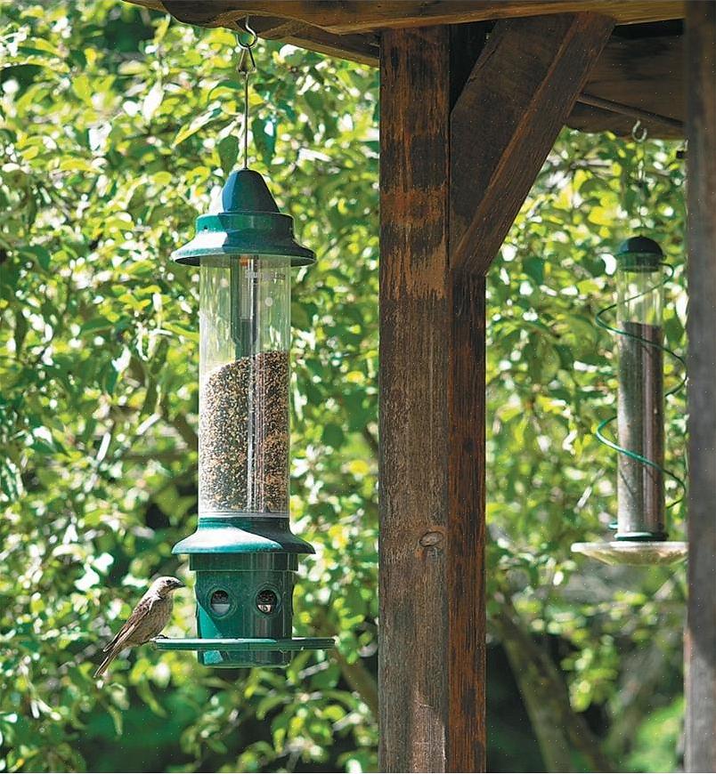 Il existe de nombreuses façons de rendre une mangeoire à oiseaux moins accessible aux écureuils