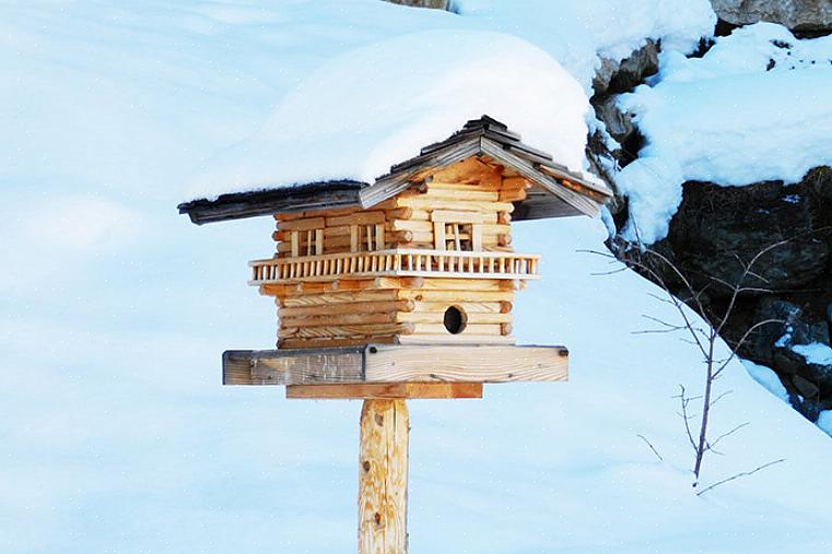 Il existe de nombreuses façons de fournir un abri sûr aux oiseaux d'hiver