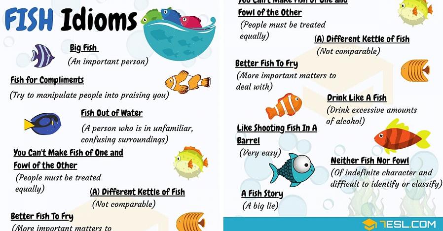 Comprendre ces expressions idiomatiques peut aider les ornithologues amateurs à apprécier à quel point