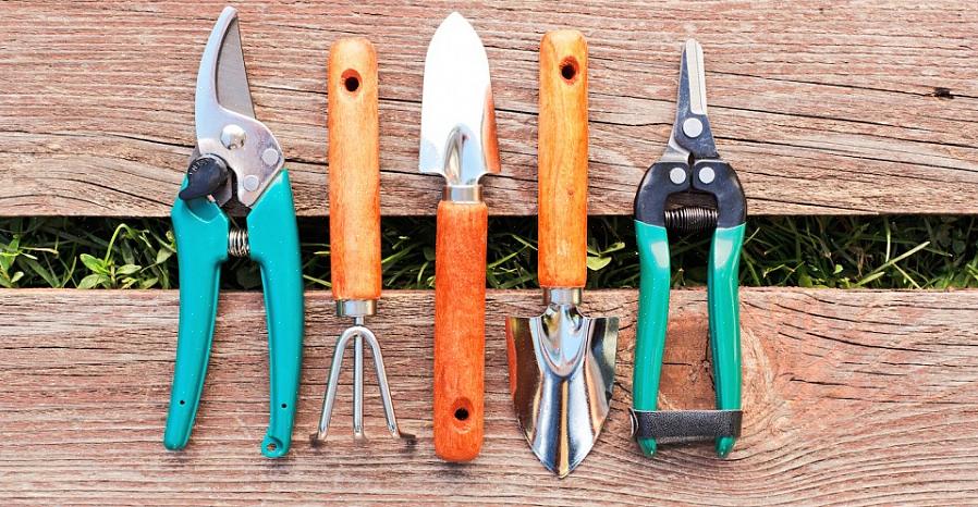 Les outils de jardin doivent être nettoyés après chaque utilisation pour enlever la saleté